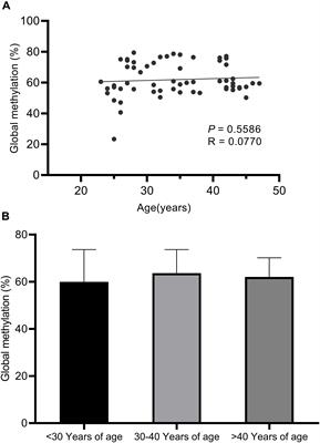 Sperm Ribosomal DNA Promoter Methylation Levels Are Correlated With Paternal Aging and May Relate With in vitro Fertilization Outcomes